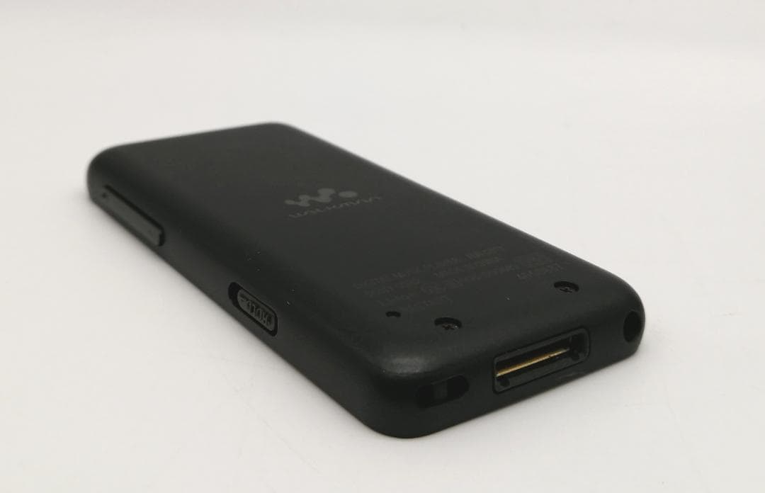Digital Audio Player S 4Gb Nw-S313K