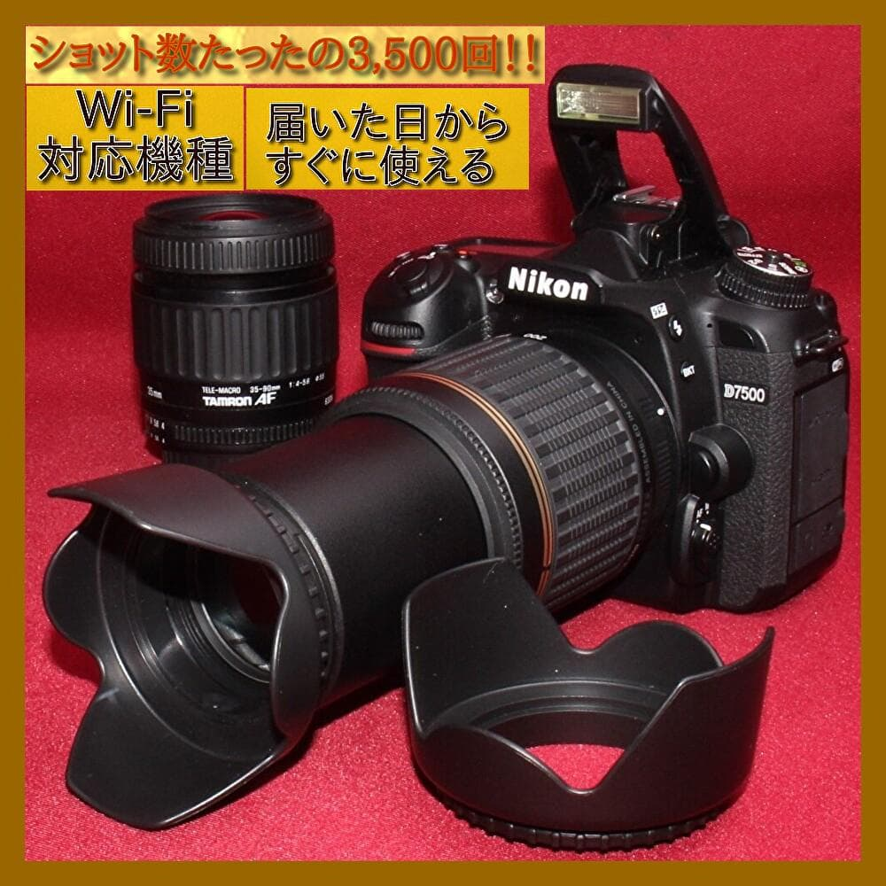 Nikon Digital Slr D7500