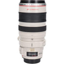 Canon Lens (Single Focus)