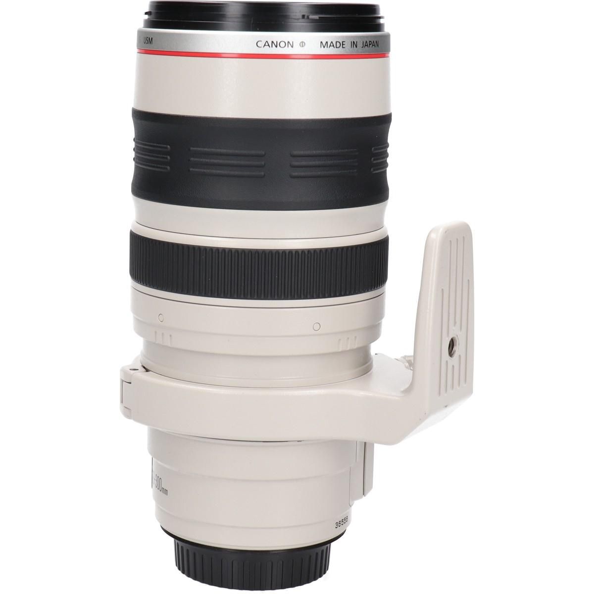 Canon Lens (Single Focus)