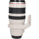 Canon Lens (Single Focus)