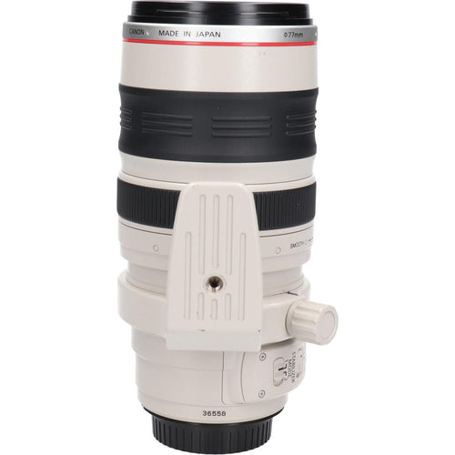 Canon Lens (Single Focus)