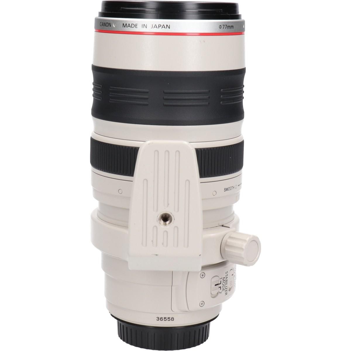 Canon Lens (Single Focus)