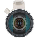Canon Lens (Single Focus)