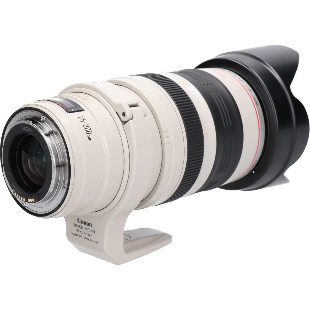Canon Lens (Single Focus)