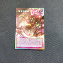 Yu -Gi -Oh! Ocg Duel Monsters