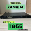 Modular Synthesizer Yamaha Tg55