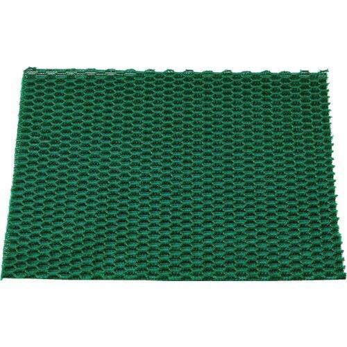 Grass Lawn