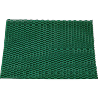 Grass Lawn