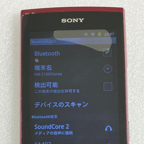 Sony Digital Audio Players Nw-Z1070 64Gb