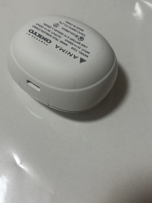 Onkyo Wireless Earphone