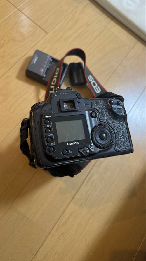 Canon Digital Slr 20D Tamron 18-270Mm