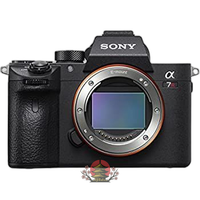 Digital Slr Sony 7Rm3 Ilce-7Rm3