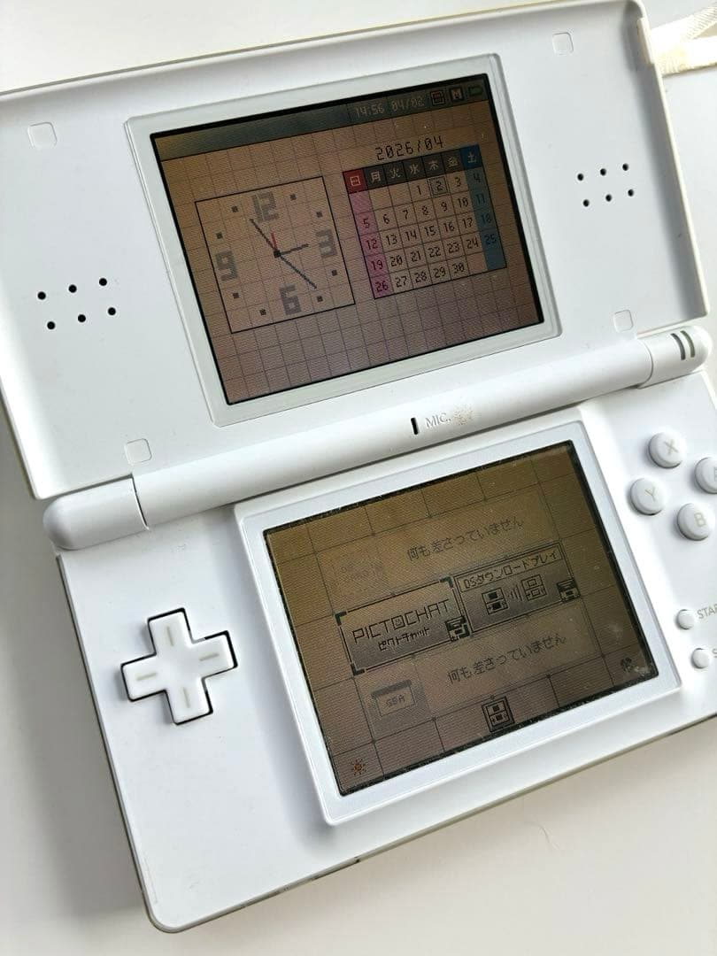 Nintendo Ds Consoles Lite)