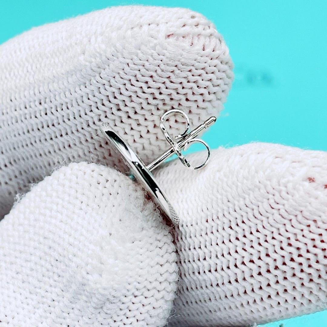 Tiffany Earrings (Single) Ag 16.7