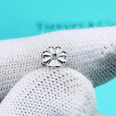 Tiffany Earrings (Single) Ag 16.7