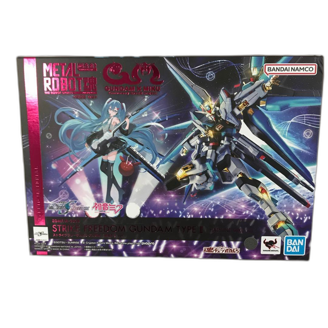 Others Metal Robot Ver.