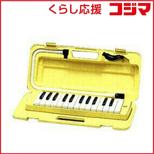 Yamaha Others P-25F