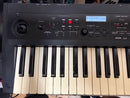 Korg Other Ps60