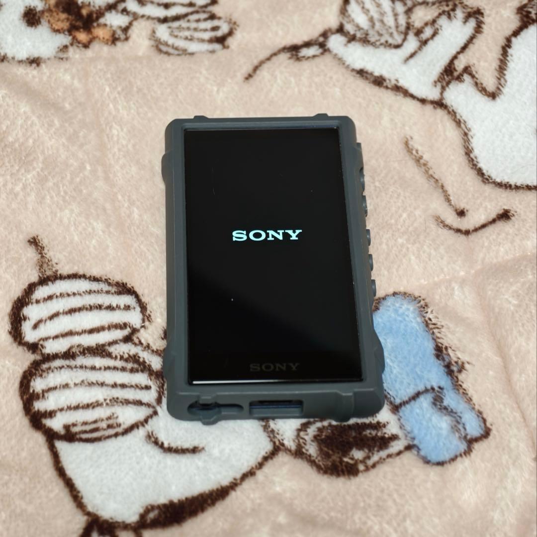 Digital Audio Player Sony A300 (A306)