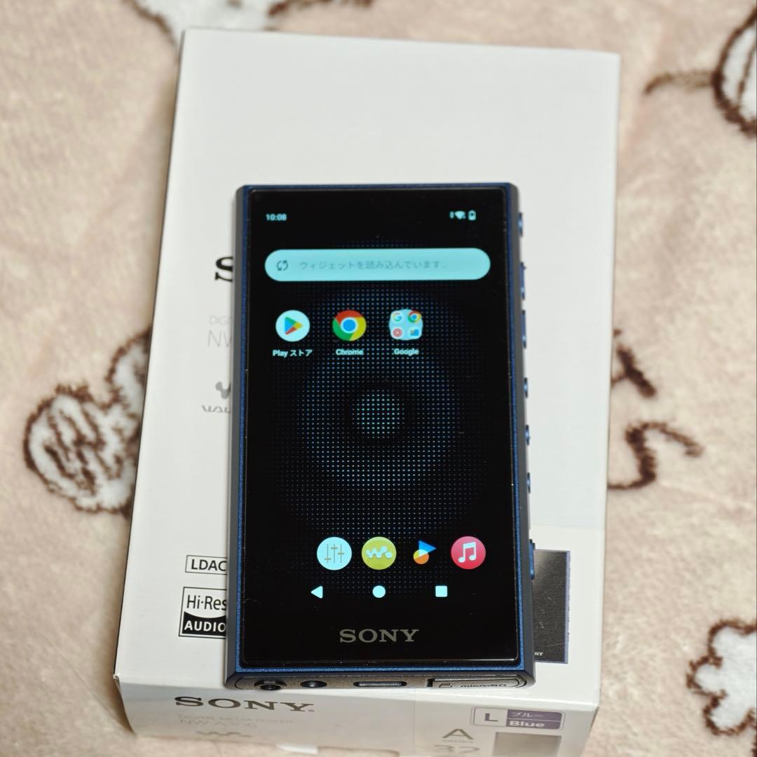 Digital Audio Player Sony A300 (A306)