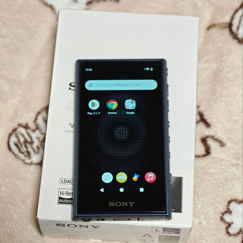 Digital Audio Player Sony A300 (A306)