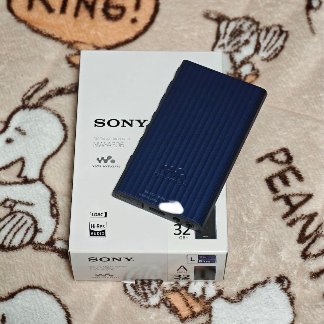 Digital Audio Player Sony A300 (A306)