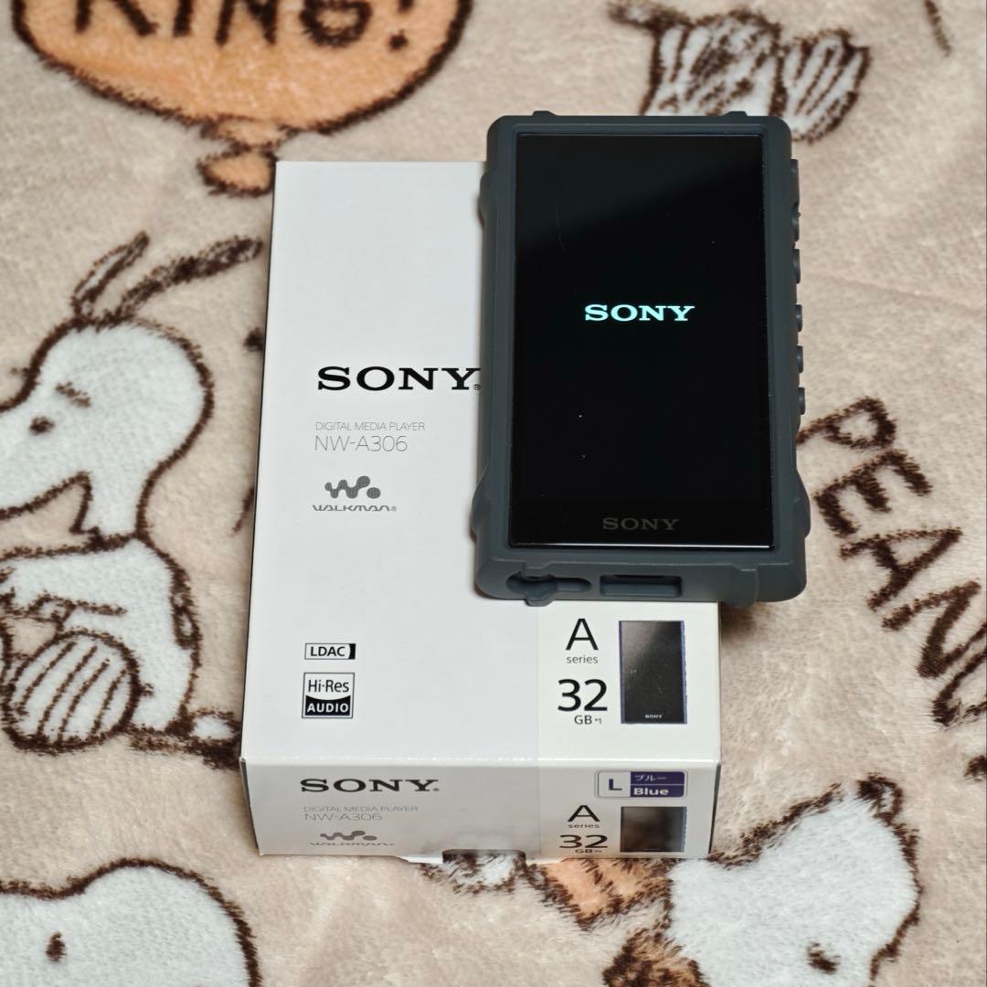 Digital Audio Player Sony A300 (A306)