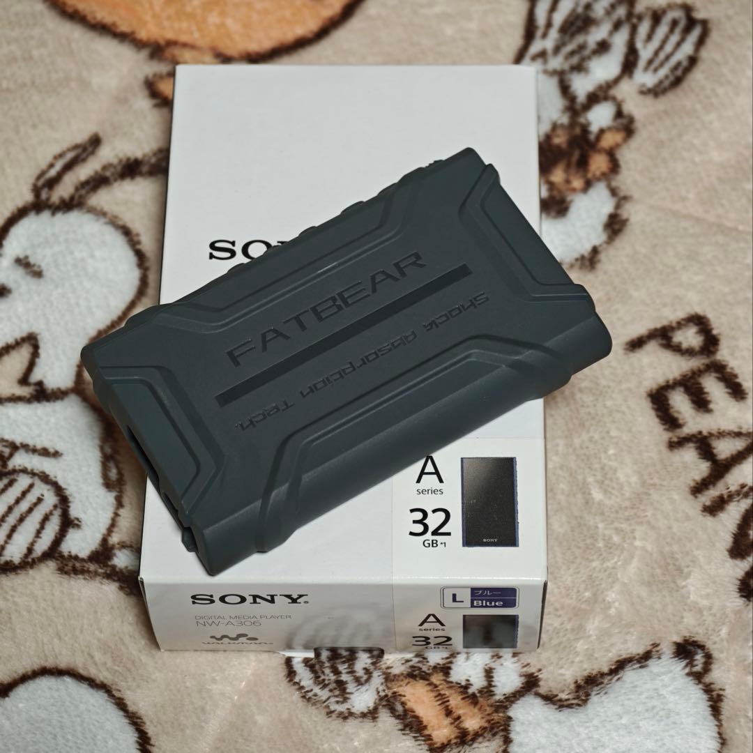 Digital Audio Player Sony A300 (A306)