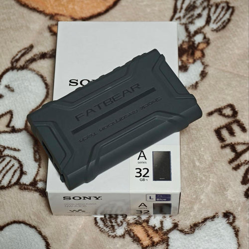 Digital Audio Player Sony A300 (A306)