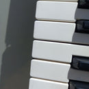 Others Cake Walk Roland A-800Pro
