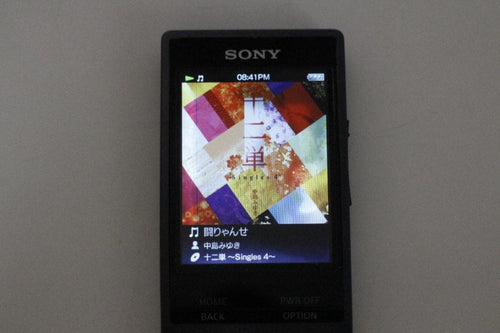 Sony Digital Audio Player 3315-Sony Nw-A25 16Gb Sd 32Gb