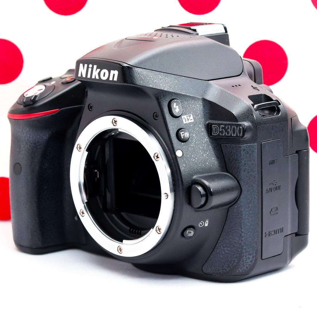 Nikon Digital Slrs D5300 Wi-Fi