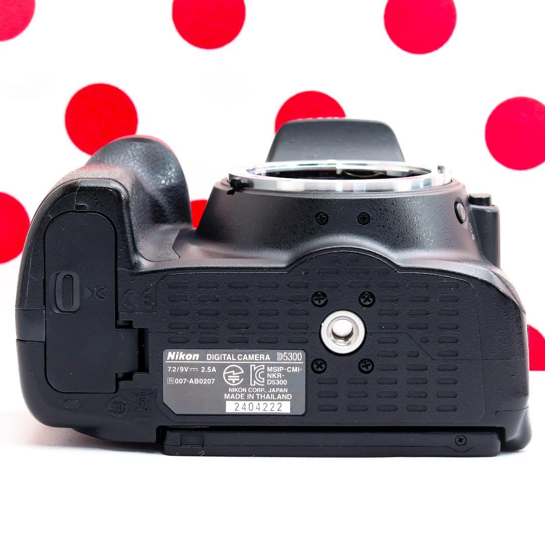 Nikon Digital Slrs D5300 Wi-Fi