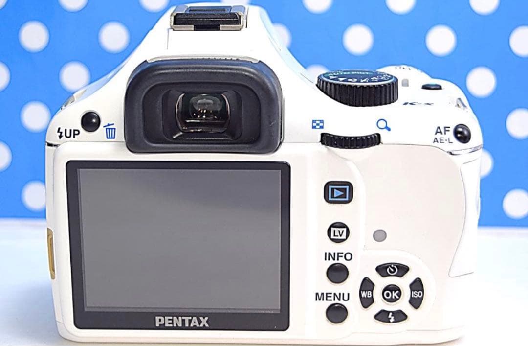 Pentax Digital Slr K X