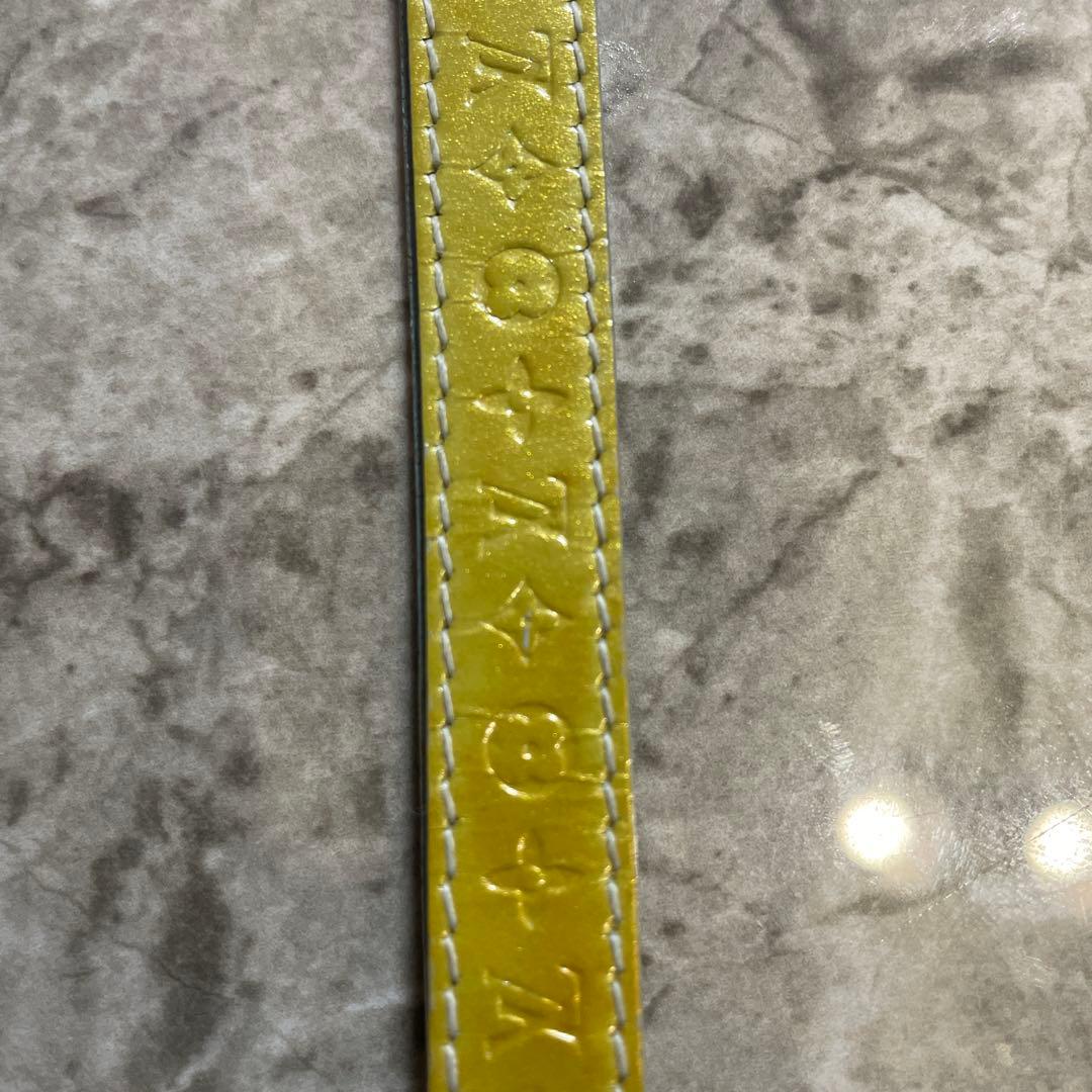 Louis Vuitton Straps