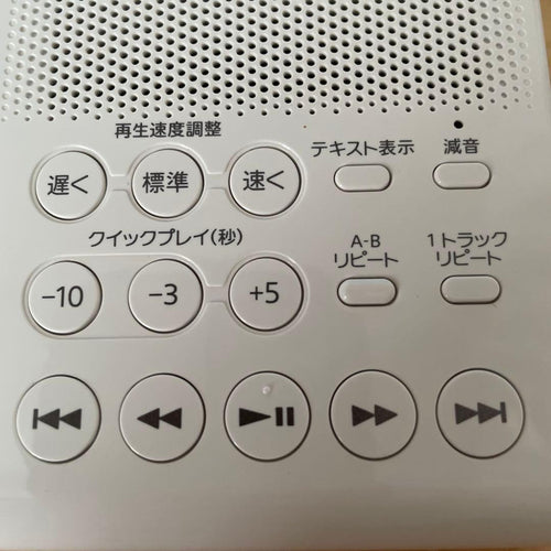 Sony Digital Audio Players Rdp-Nwl100