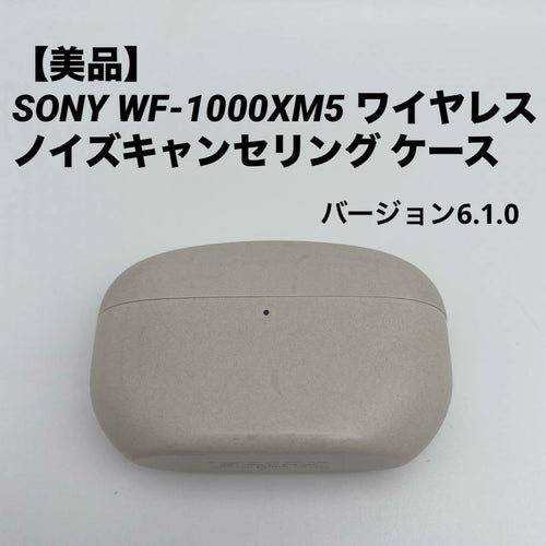 Sony Earphone Cases Wf-1000Xm5