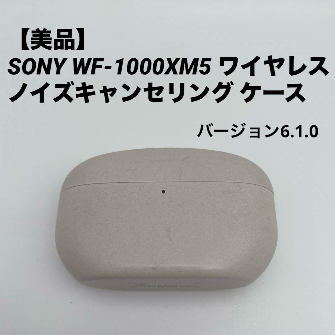 Sony Earphone Cases Wf-1000Xm5