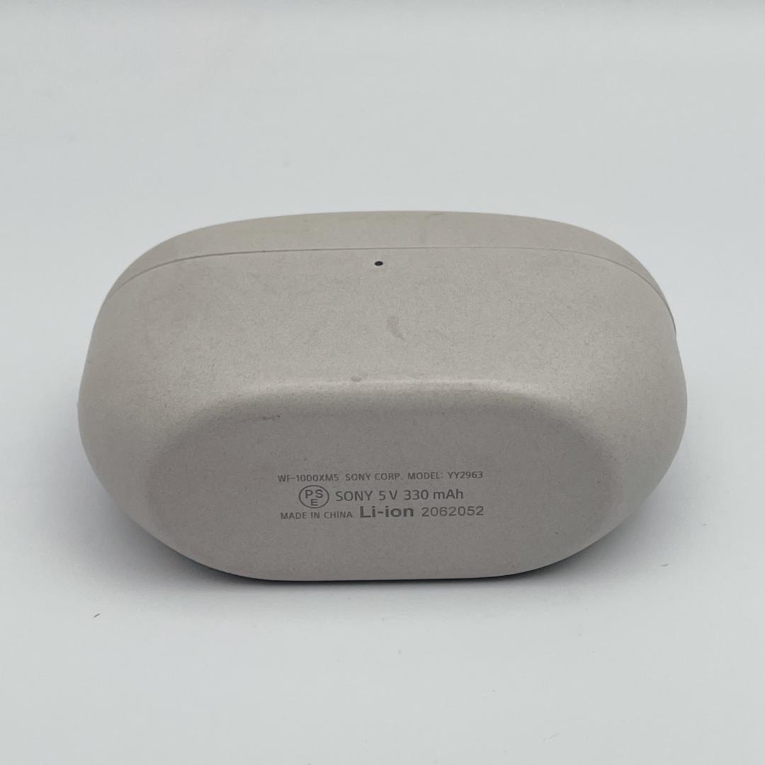 Sony Earphone Cases Wf-1000Xm5