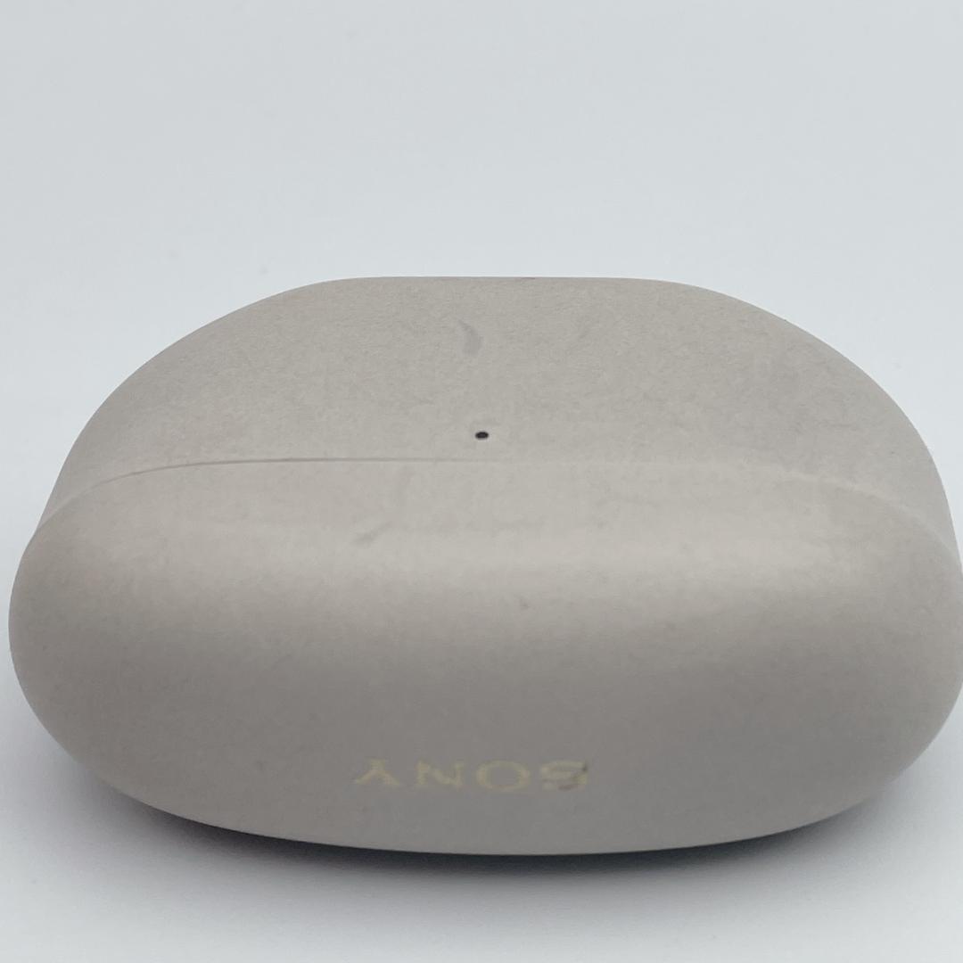 Sony Earphone Cases Wf-1000Xm5