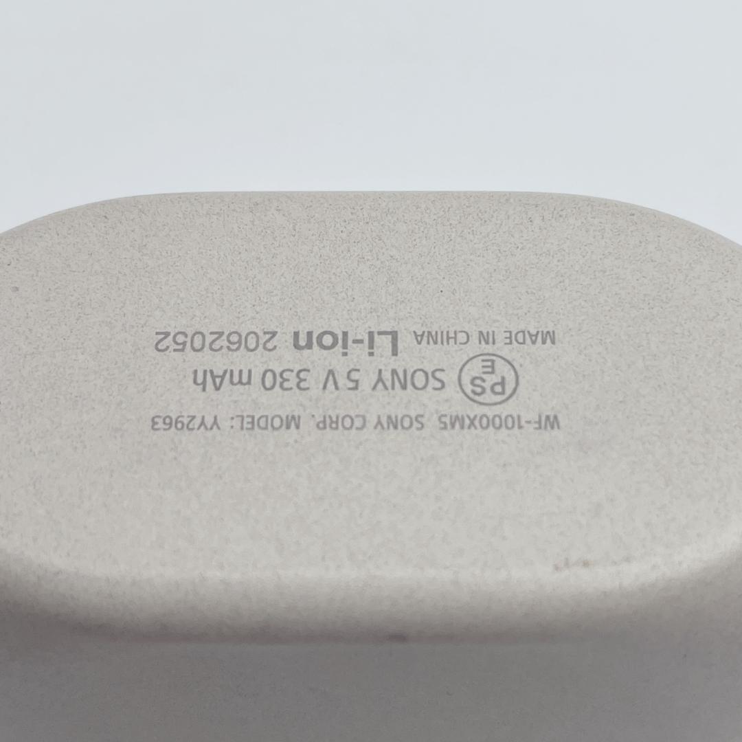 Sony Earphone Cases Wf-1000Xm5