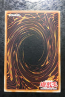 Yu -Gi -Oh! Ocg Duel Monsters