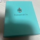 Tiffany Earrings (For Both Ears) 925