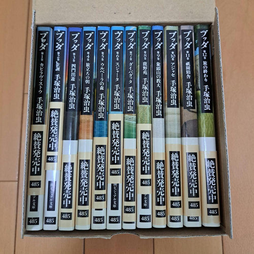 Sh Nen Manga 12 Box