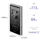 Digital Audio Player Walkman Nw-A307-H [64Gb]