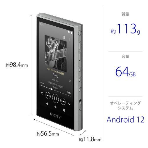 Digital Audio Player Walkman Nw-A307-H [64Gb]