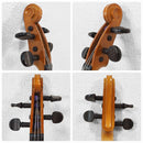 Violins Yamaha Sv-100 Sugito
