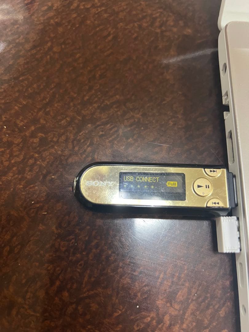 Ic Recorders Voice Sony Nw-E042