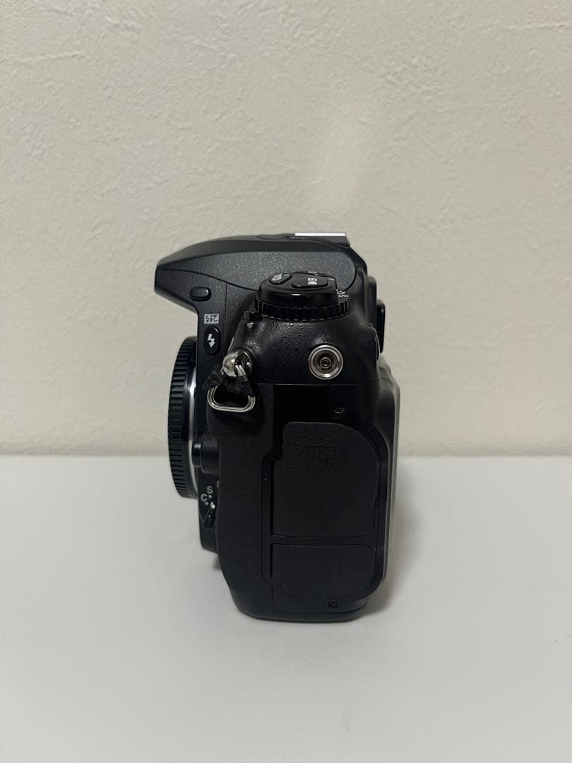 Nikon Digital Slrs D200 2 Ccd